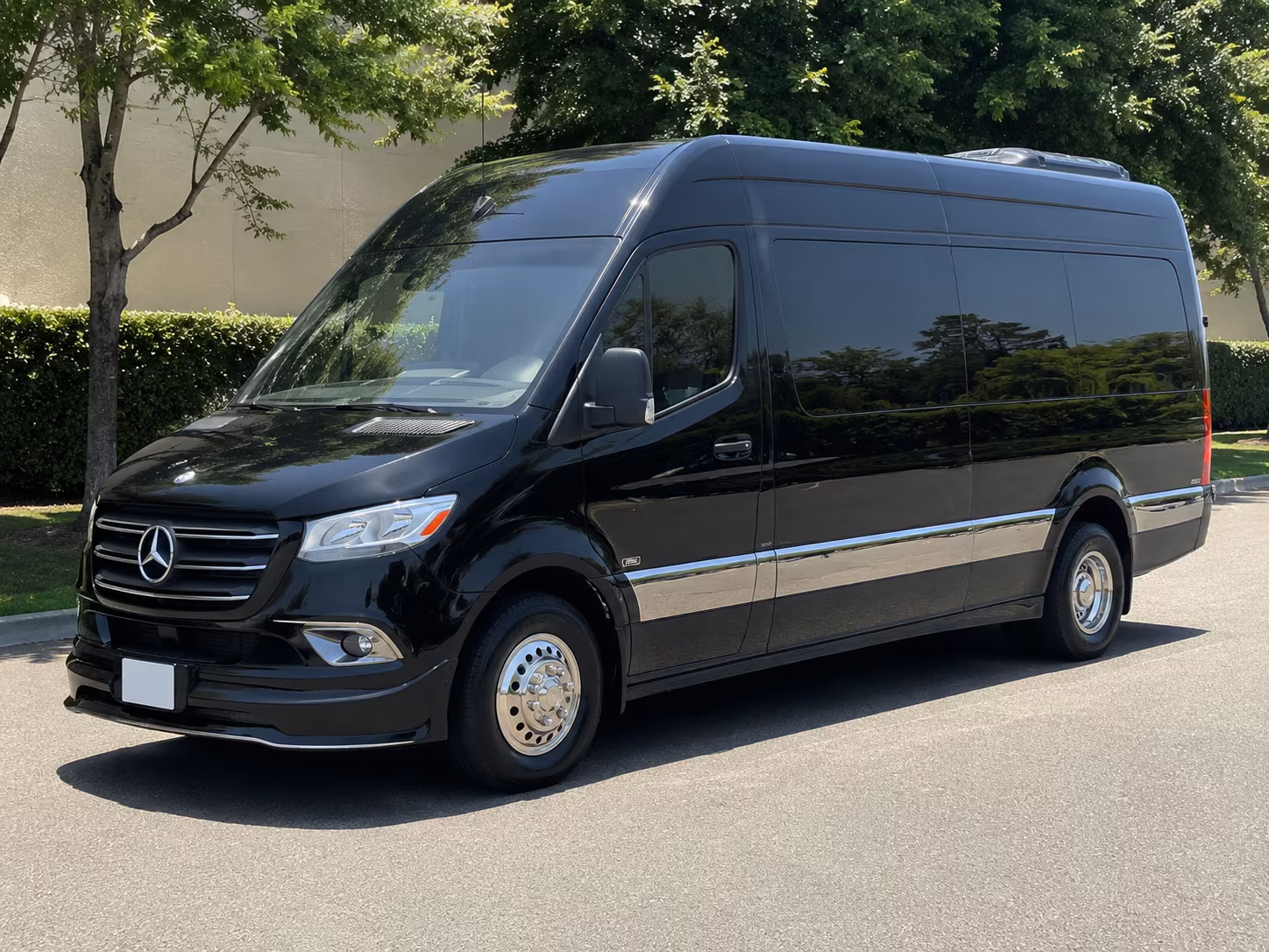 murrieta 18 passenger sprinter van